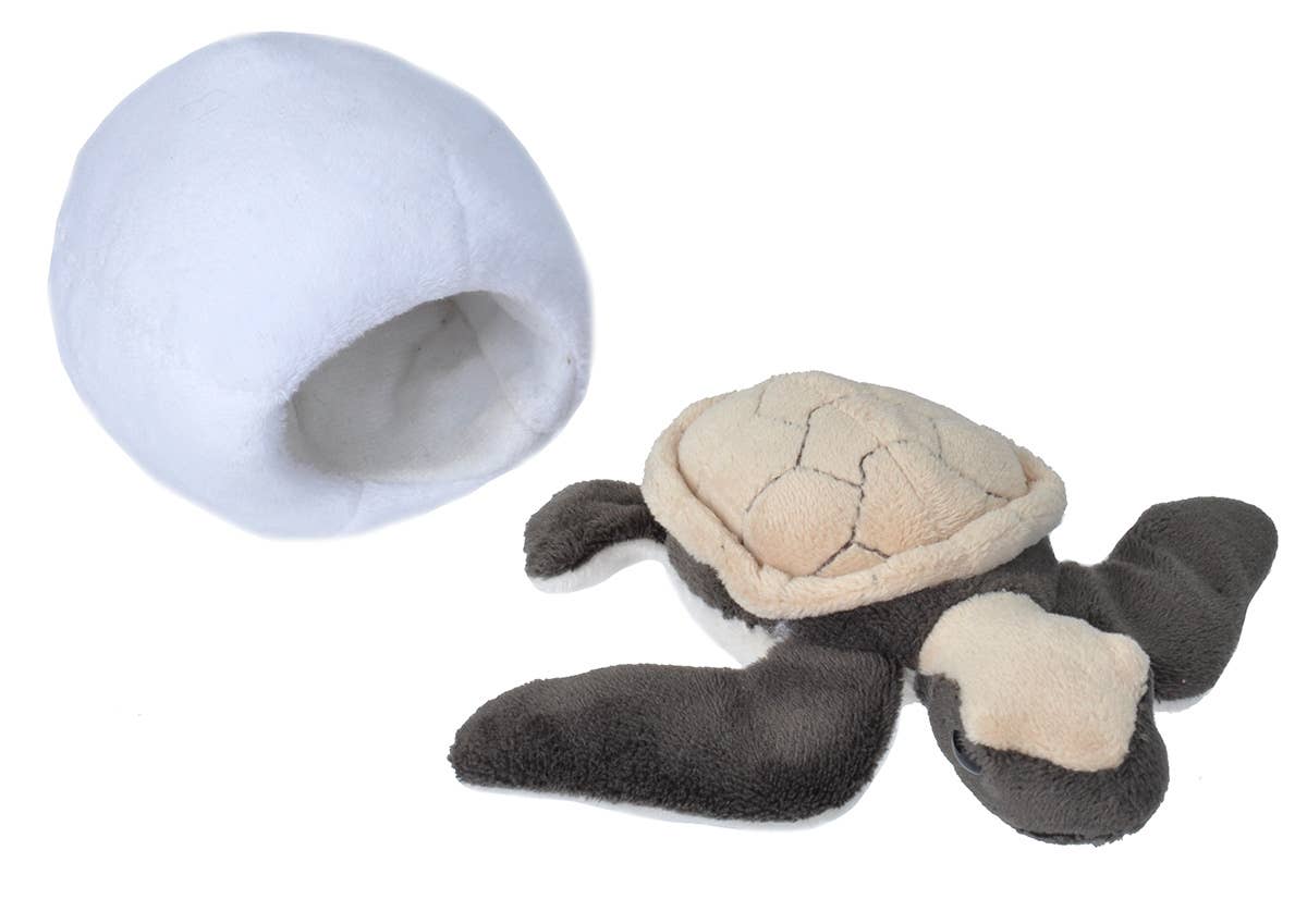 Hatchling Hawksbill Sea Turtle Stuffed Animal 6"