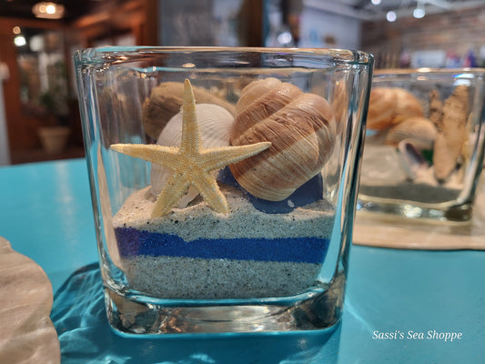 Sand /  Shell display jar