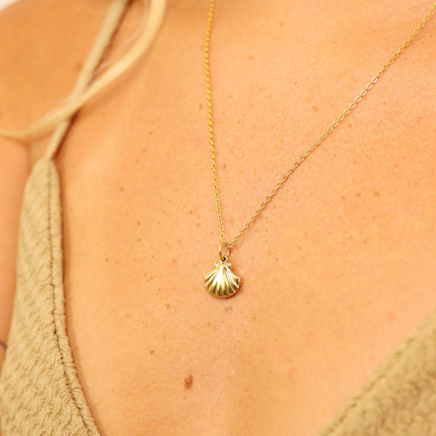 18K PVD gold necklace w/ clamshell charm
