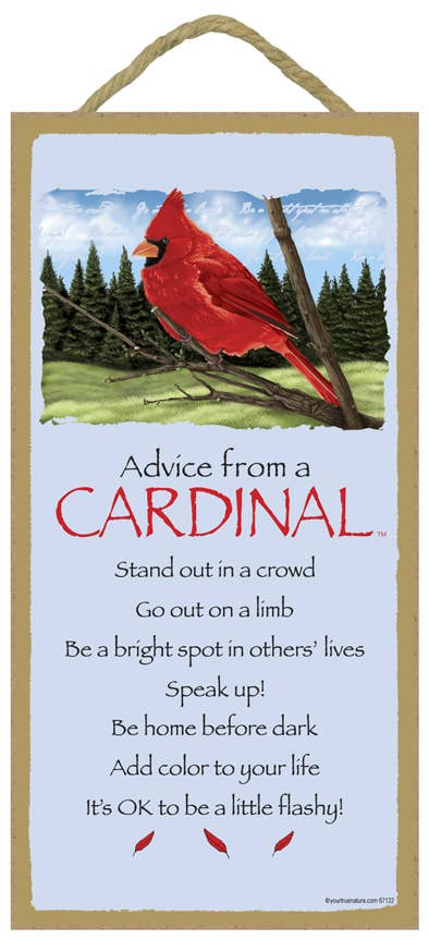 Cardinal / Advice From - 5" x 10" wood plaque, sign - licen