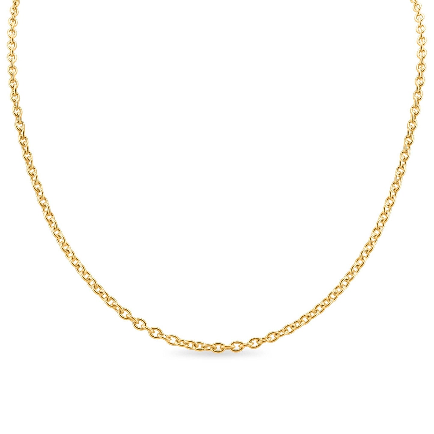 18k Gold Pvd 20" Chain
