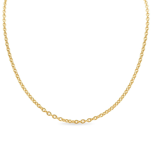 18k Gold Pvd 20" Chain