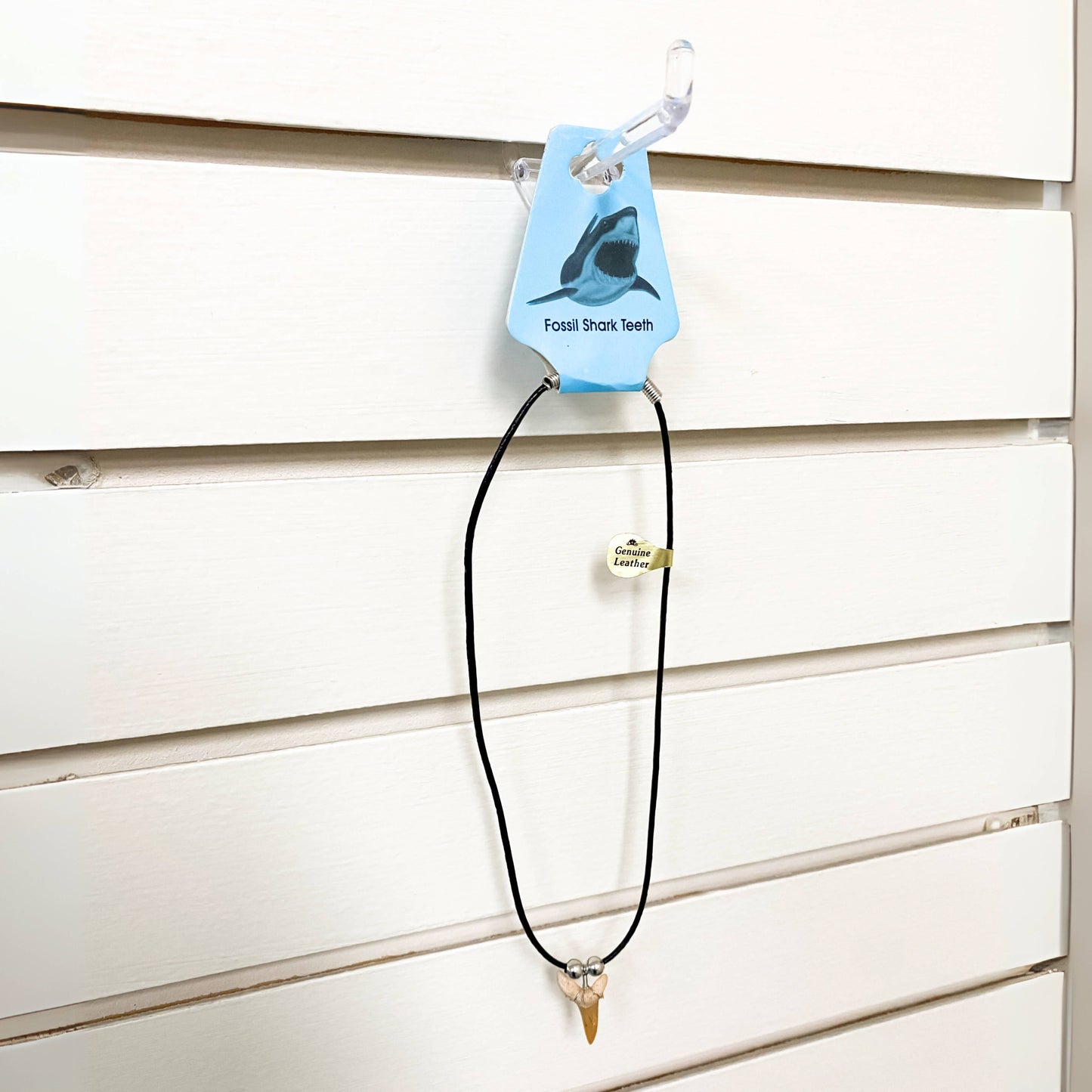 Shark Tooth Necklace - Fossil Sharks Teeth with Leather Cord