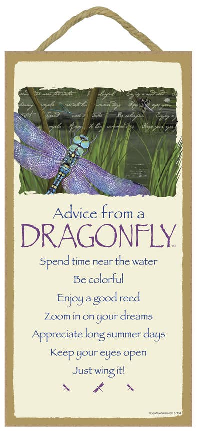 Dragonfly / Advice From - 5" x 10" wood plaque, sign