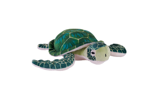 CK-ECO-Mini Green Sea Turtle Stuffed Animal 8"
