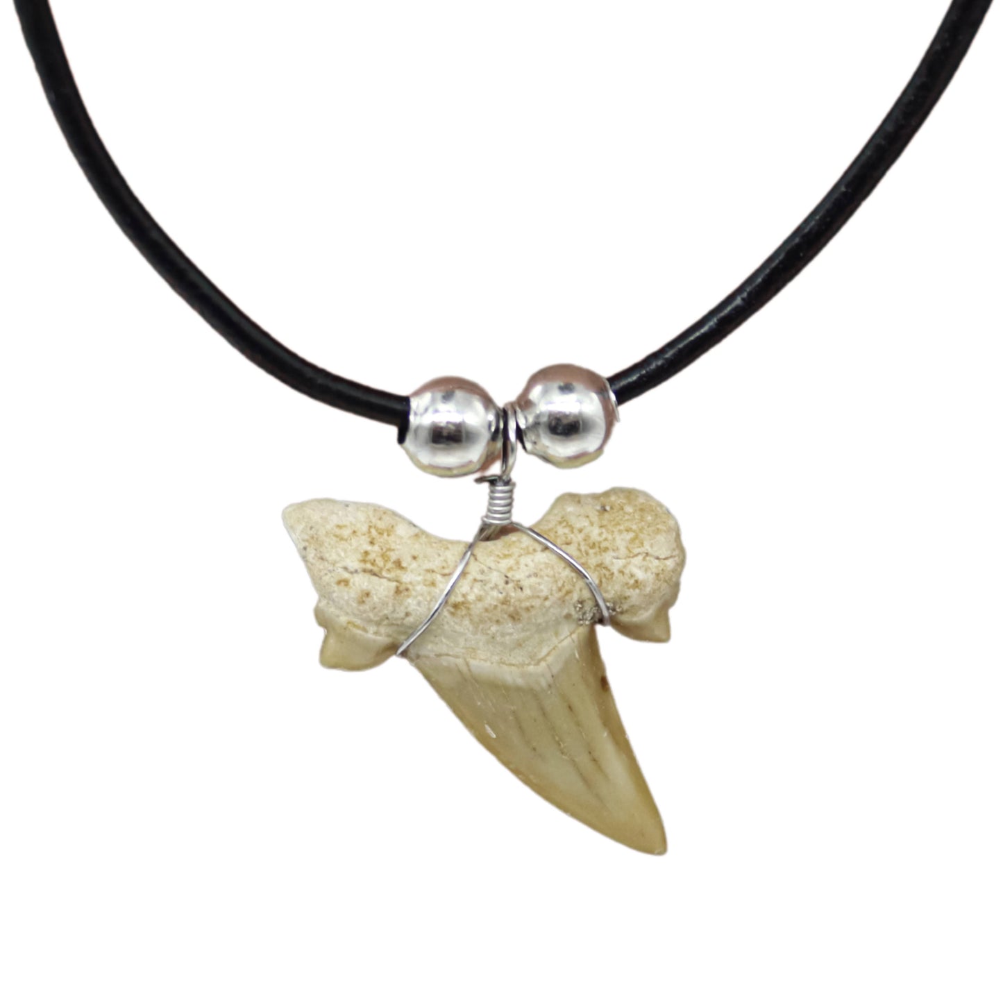 Shark Tooth Necklace - Fossil Sharks Teeth with Leather Cord