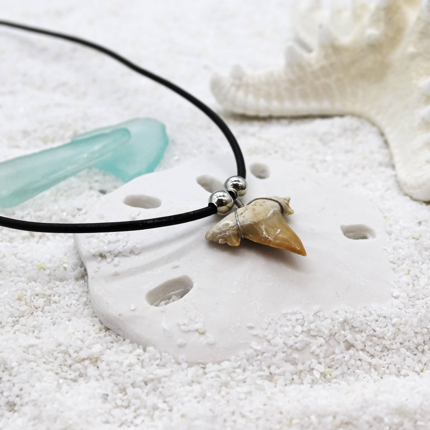 Shark Tooth Necklace - Fossil Sharks Teeth with Leather Cord
