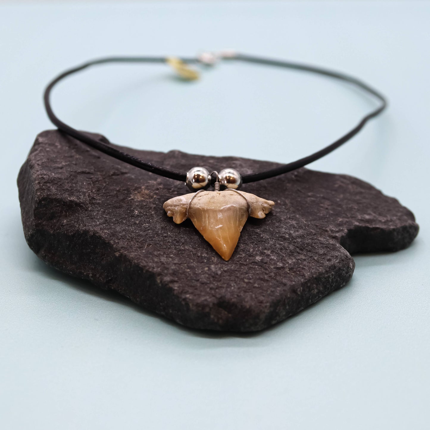 Shark Tooth Necklace - Fossil Sharks Teeth with Leather Cord