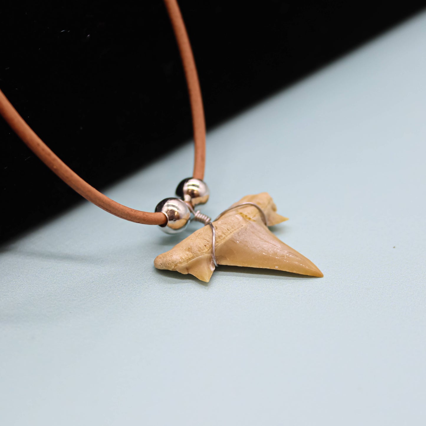 Shark Tooth Necklace - Fossil Sharks Teeth with Leather Cord
