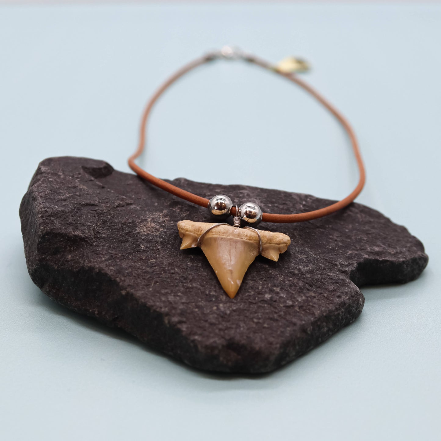 Shark Tooth Necklace - Fossil Sharks Teeth with Leather Cord