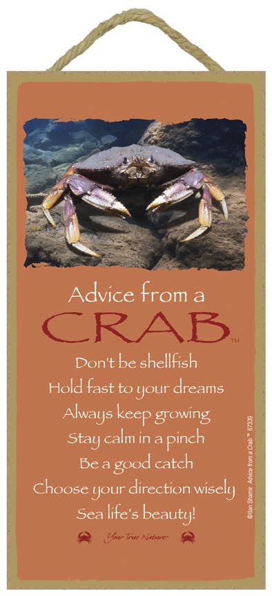 Crab / Advice From - 5" x 10" wood plaque / sign
