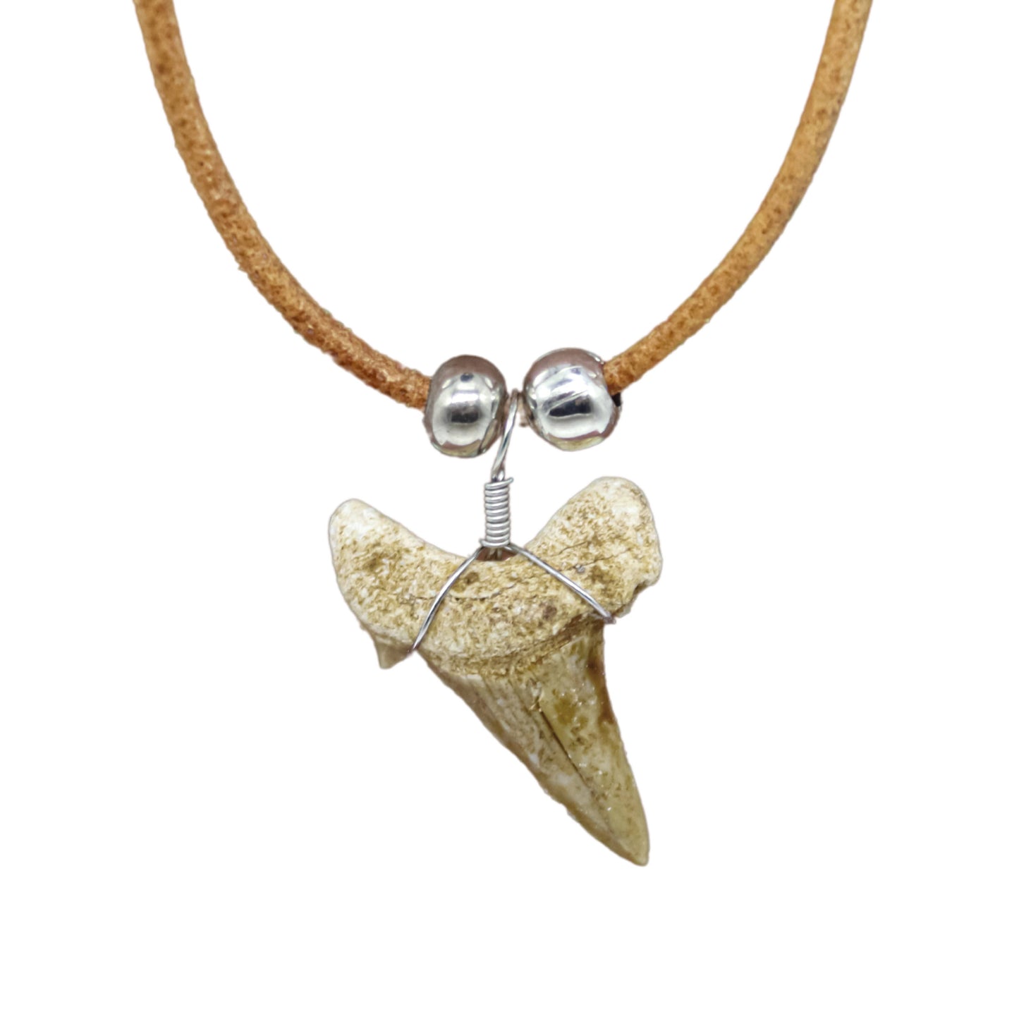 Shark Tooth Necklace - Fossil Sharks Teeth with Leather Cord