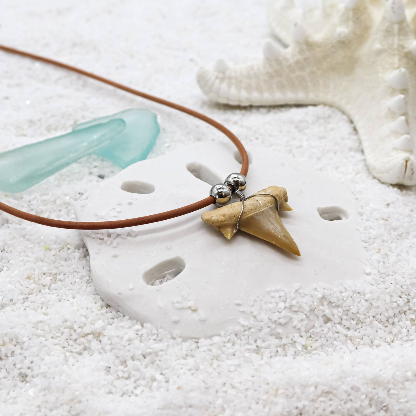 Shark Tooth Necklace - Fossil Sharks Teeth with Leather Cord