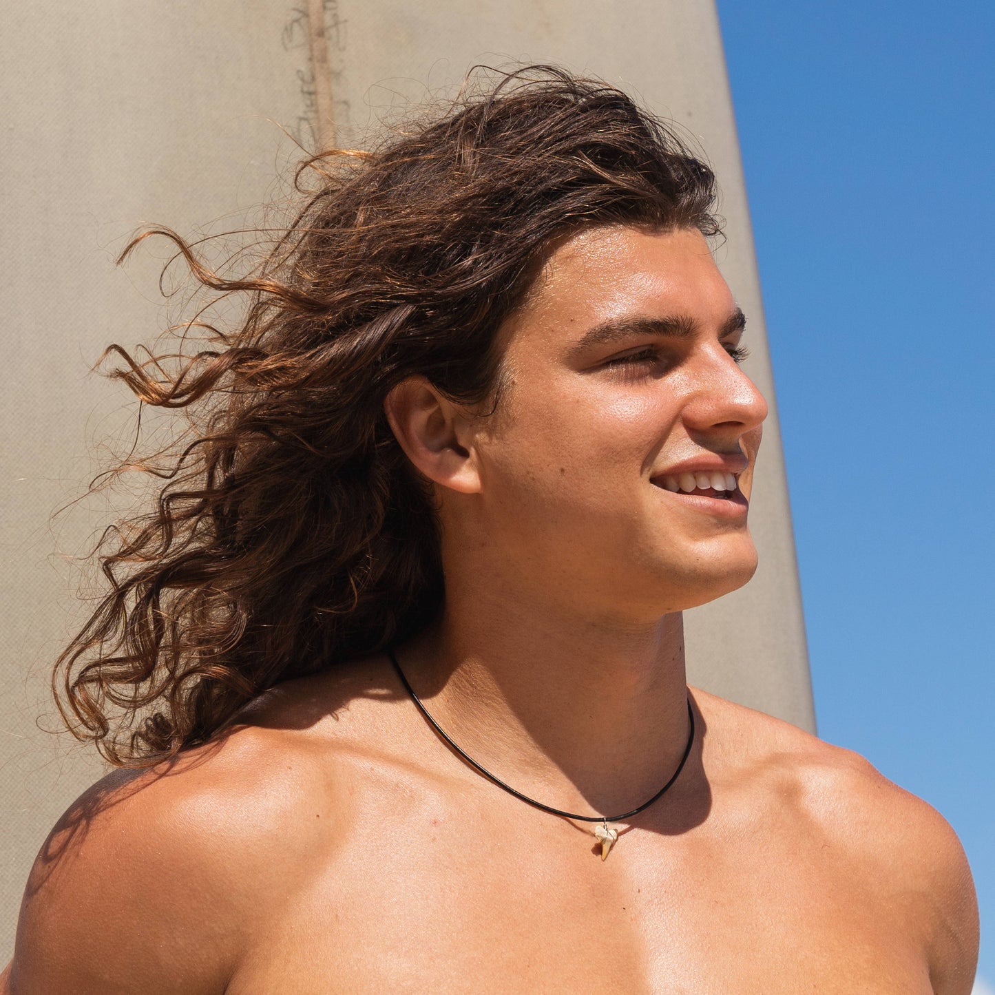 Shark Tooth Necklace - Fossil Sharks Teeth with Leather Cord