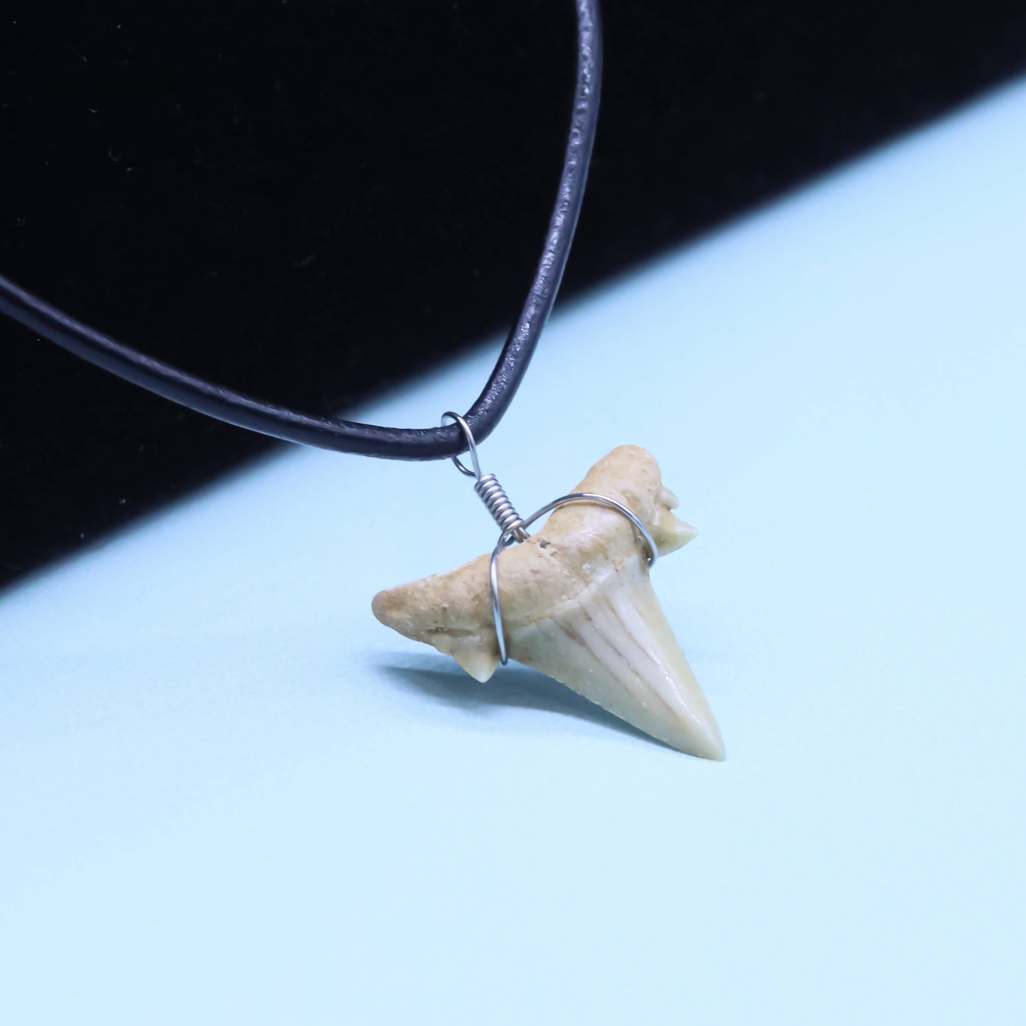 Shark Tooth Necklace - Fossil Sharks Teeth with Leather Cord