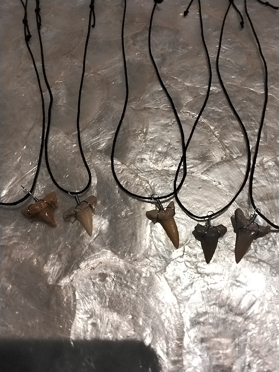 Shark Tooth adjustable necklace